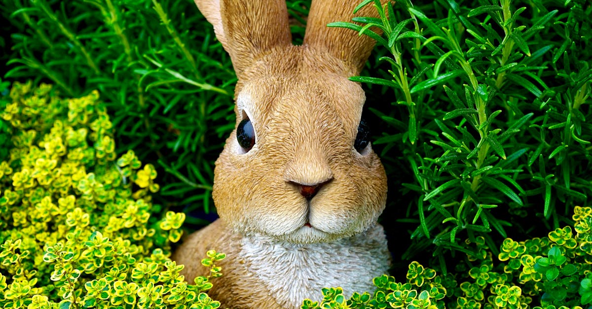 découvrez le fascinant monde des lapins : de leur habitat naturel à leurs comportements adorables, explorez tout ce qui fait de ces animaux des compagnons uniques et attachants. apprenez comment prendre soin d'eux et les intégrer dans votre vie.