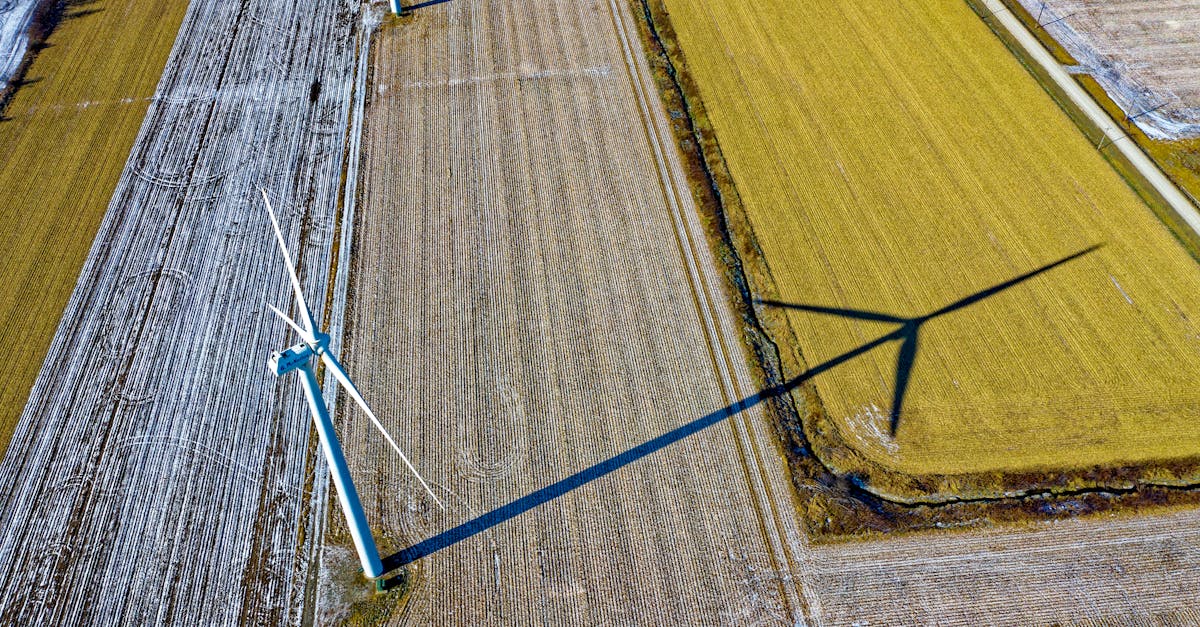 découvrez les pratiques durables qui préservent notre planète, favorisent l'économie circulaire et encouragent un mode de vie respectueux de l'environnement.
