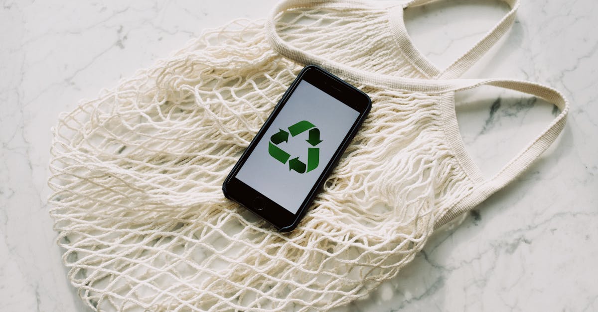 découvrez des pratiques et des solutions durables pour un avenir plus respectueux de l'environnement. explorez comment adopter un mode de vie écoresponsable et favoriser la durabilité dans votre quotidien.