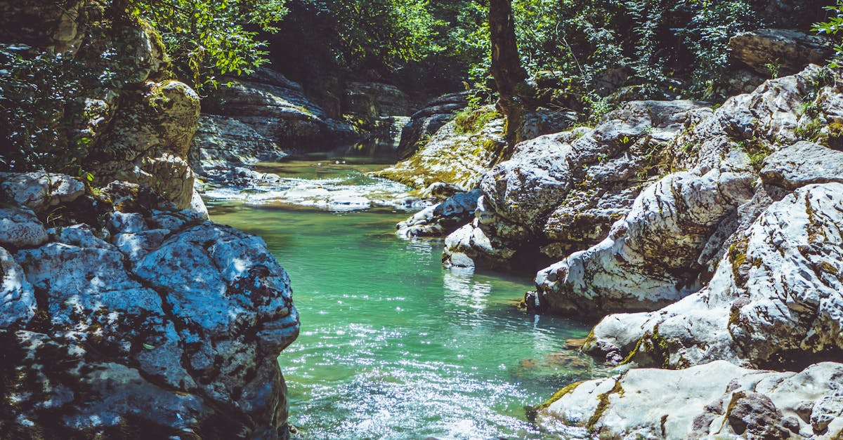 découvrez tout sur les bio-lubrifiants, des solutions écologiques pour l'industrie et l'automobile. avantages, applications et respect de l'environnement pour un futur plus vert !