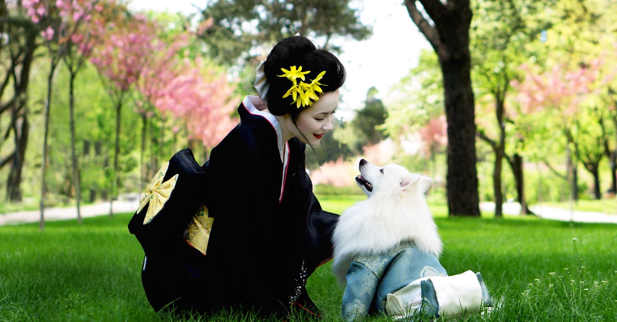 découvrez l'univers fascinant des geishas, artistes japonaises traditionnelles réputées pour leur élégance, leur art de la conversation et leurs talents dans la musique et la danse. plongez dans leur histoire, leur rôle culturel et leur influence sur la société japonaise.