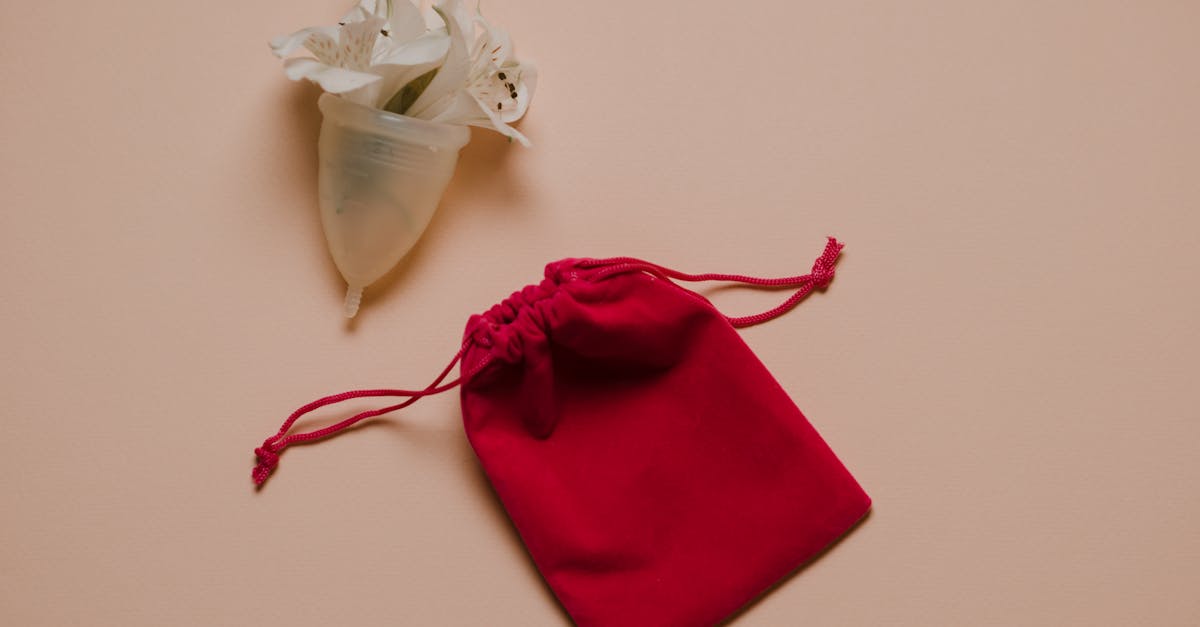 découvrez tout ce qu'il faut savoir sur la stimulation vaginale : techniques, conseils pour le plaisir, santé sexuelle et bien-être féminin.
